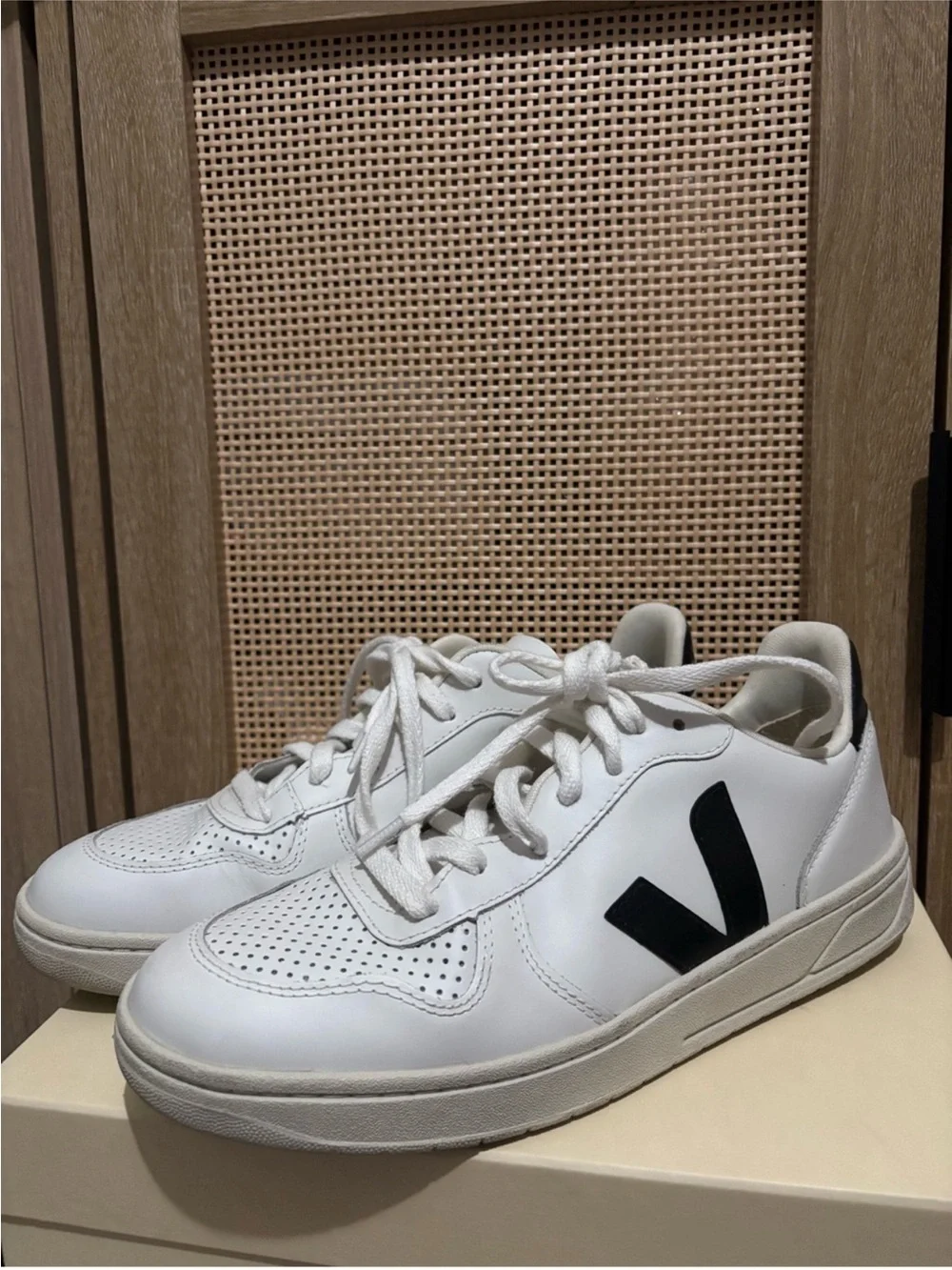 Veja V-10 Leather Sneakers — White with Black V
